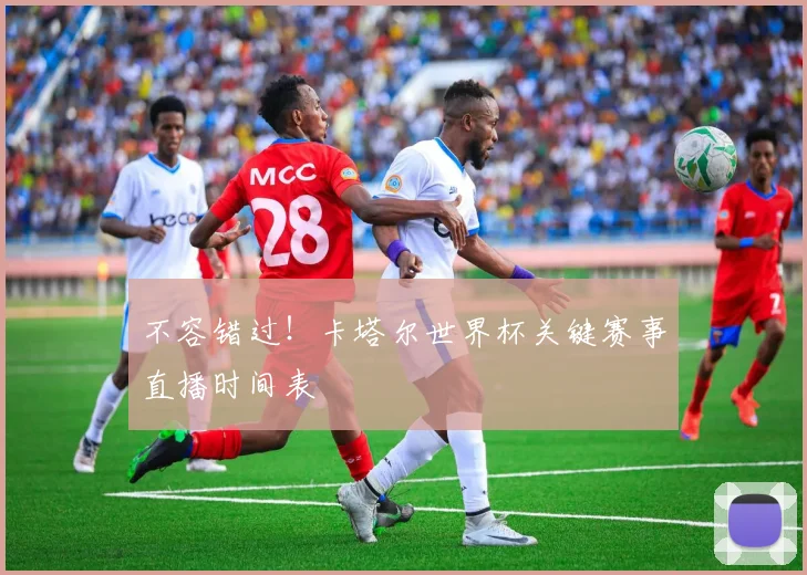 不容错过！卡塔尔世界杯关键赛事直播时间表